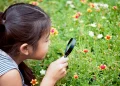 The Long-Term Benefits of Afterschool Programmes for Young Learners