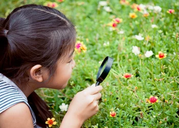 The Long-Term Benefits of Afterschool Programmes for Young Learners