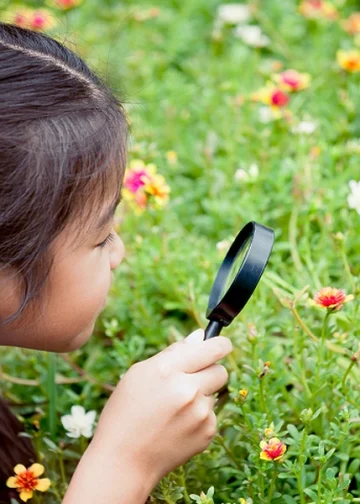 The Long-Term Benefits of Afterschool Programmes for Young Learners